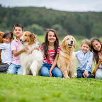Como ensinar crianças a lidarem com cães?
