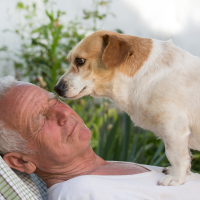 Os benefícios de um animal de estimação para idosos